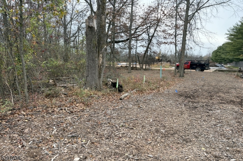 8 Reasoner Ln, Flemington Boro, NJ 08822