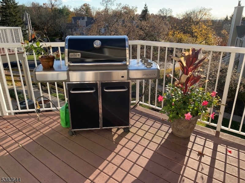 Bedminster Twp., NJ 07921,6 Ray Court