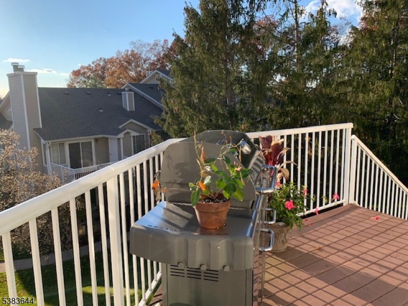 Bedminster Twp., NJ 07921,6 Ray Court