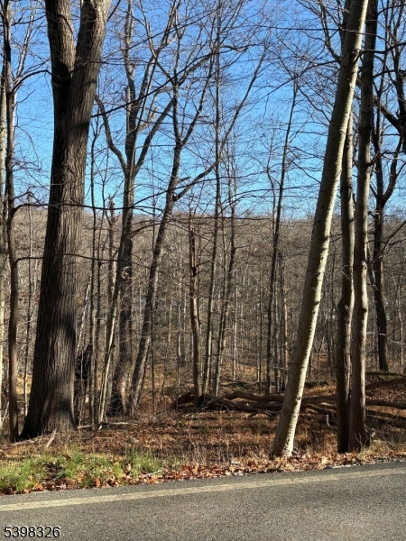 Kinnelon Boro, NJ 07405,2 Kent Brook Ter