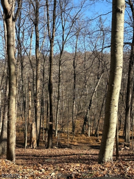 2 Kent Brook Ter, Kinnelon Boro, NJ 07405