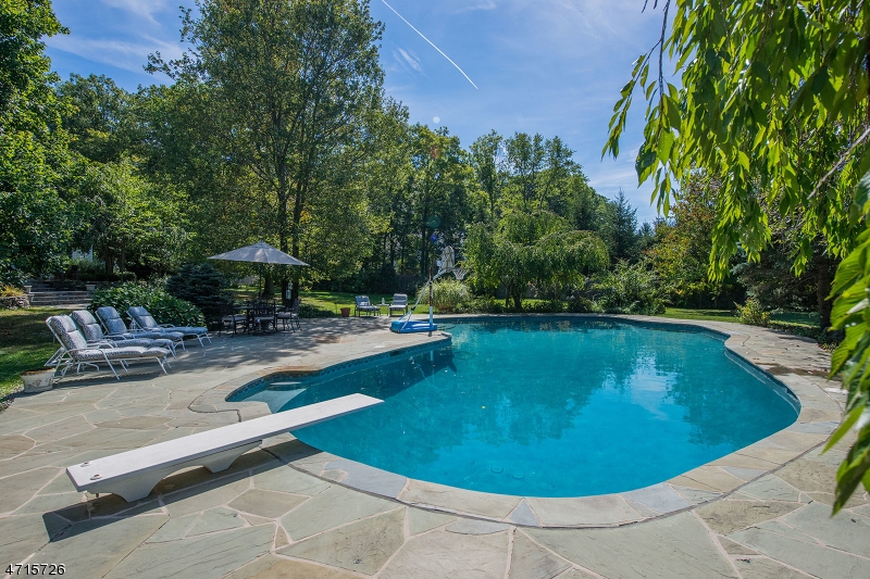 Mendham Twp., NJ 07945,36 Calais Rd