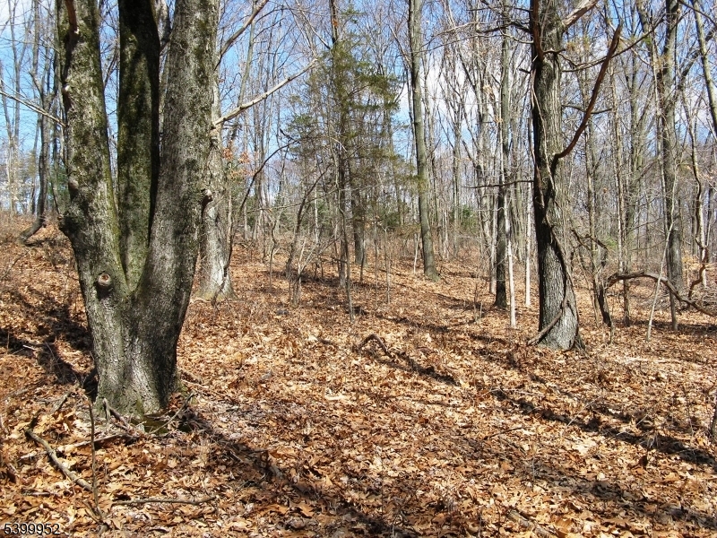 Mansfield Twp., NJ 08865,1313 State Route 57