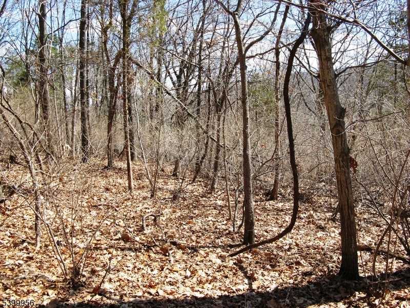 Mansfield Twp., NJ 07865,1333 State Route 57