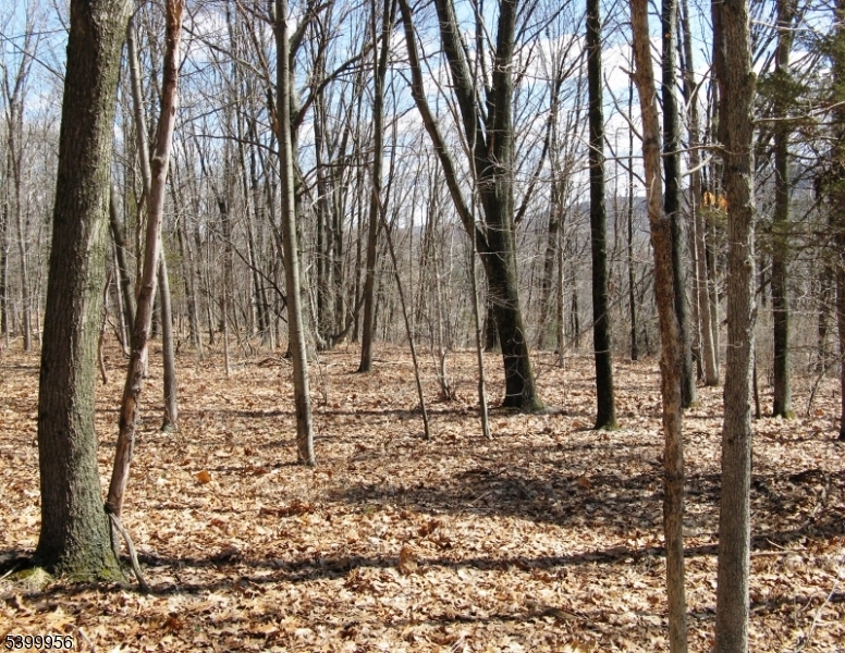 Mansfield Twp., NJ 07865,1333 State Route 57