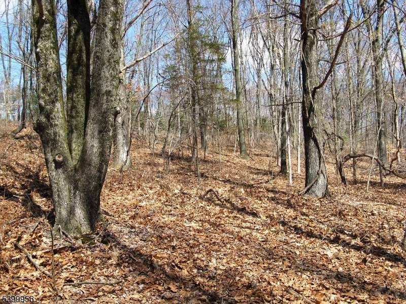 Mansfield Twp., NJ 07865,1333 State Route 57