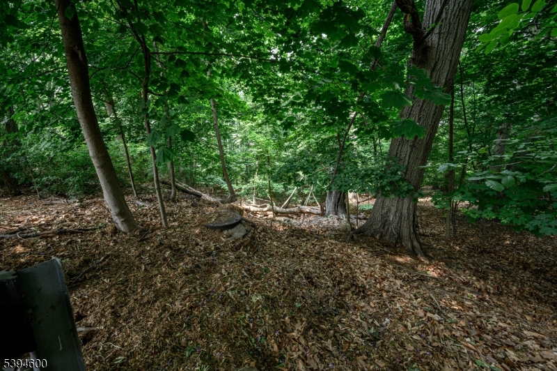 Bloomfield Twp., NJ 07003,39 Forest Dr