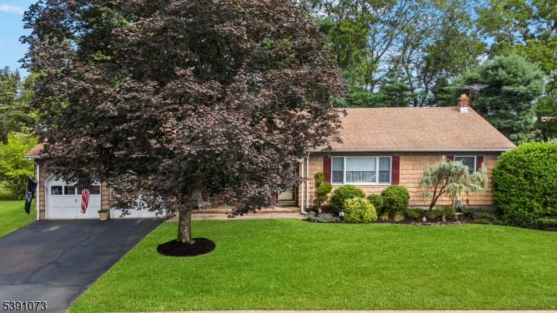 241 Van Fleet Ave, South Plainfield Boro, NJ 07080