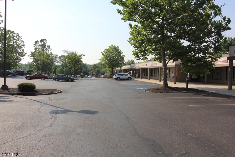 Readington Twp., NJ 08833,431 Route 22 East - Suite 6