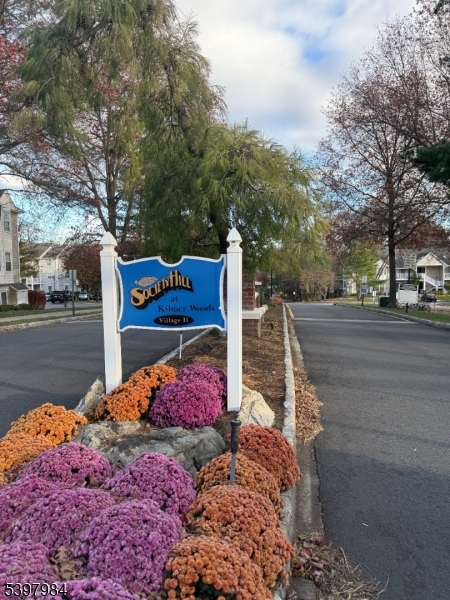 Welcome to Society Hill!