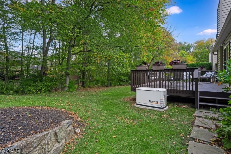 Grassy yard