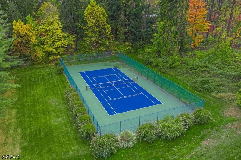 Pickle Ball Anyone ?