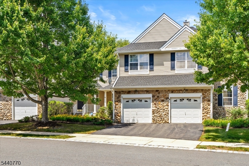 55 Scarlet Oak