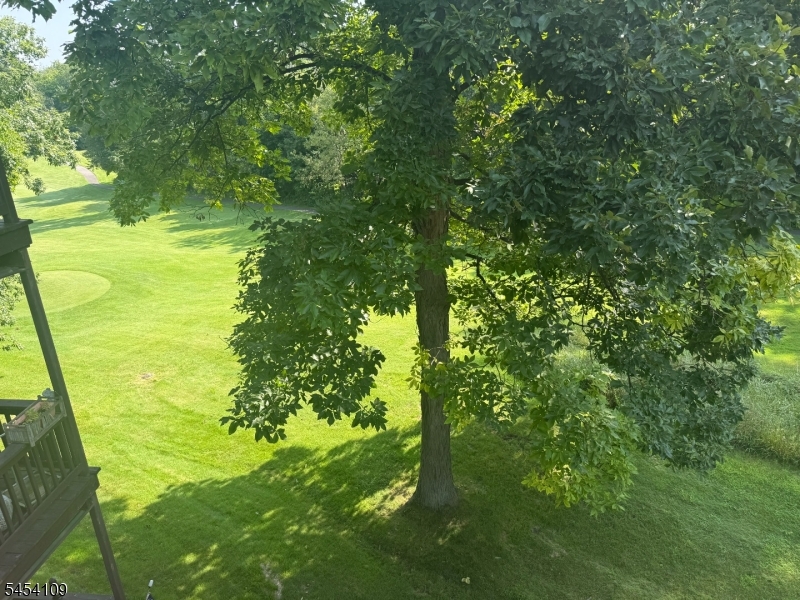Golf Course
