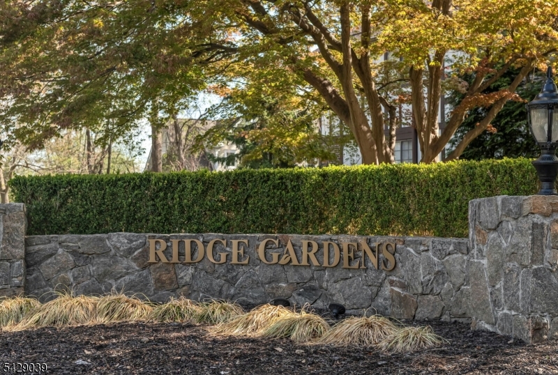 Welcome to Ridge Gardens