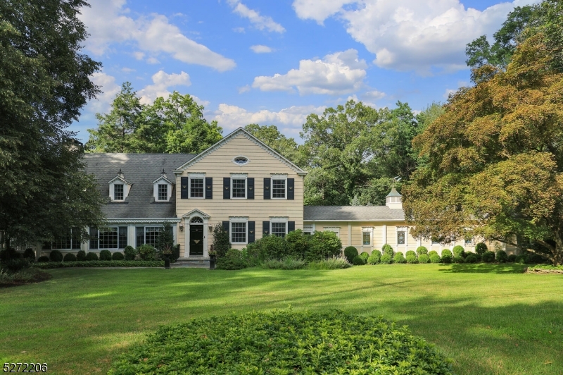 LARGE SWEEPING LAWN.