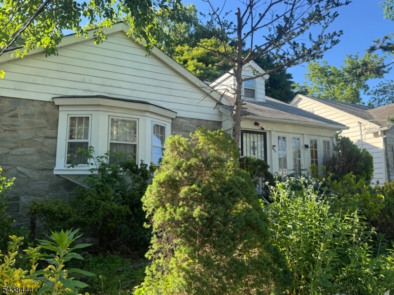 Front view