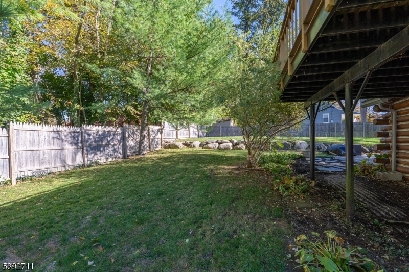 Side Yard