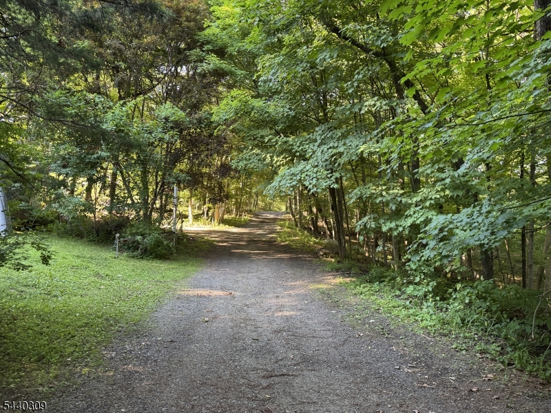 Road View from House