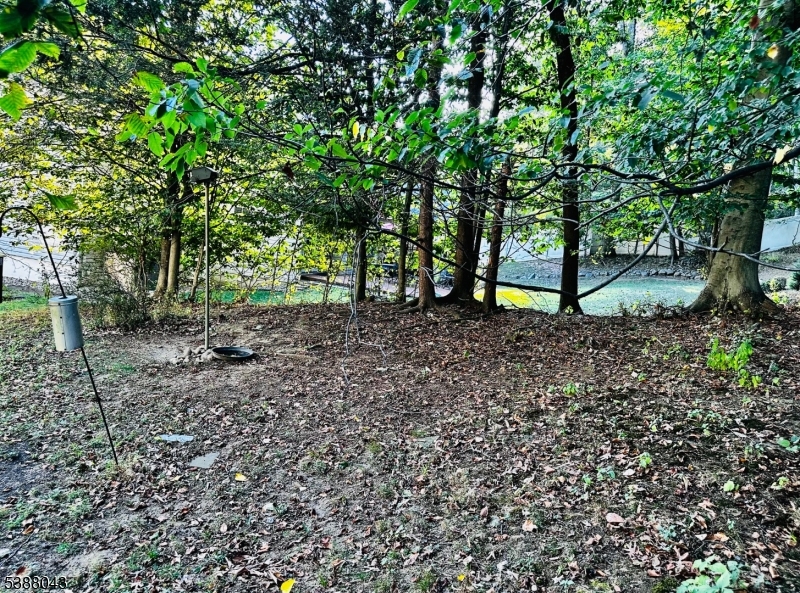 Wooded adjacent area