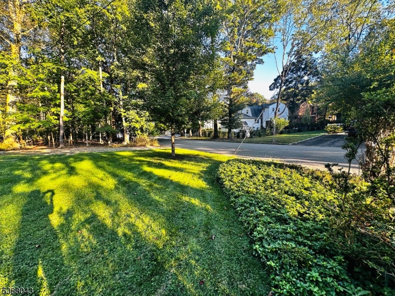 Front Side yard