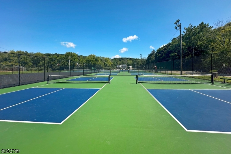 Pickleball Courts