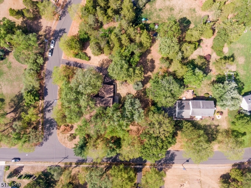 Drone shot from above showing mature trees.