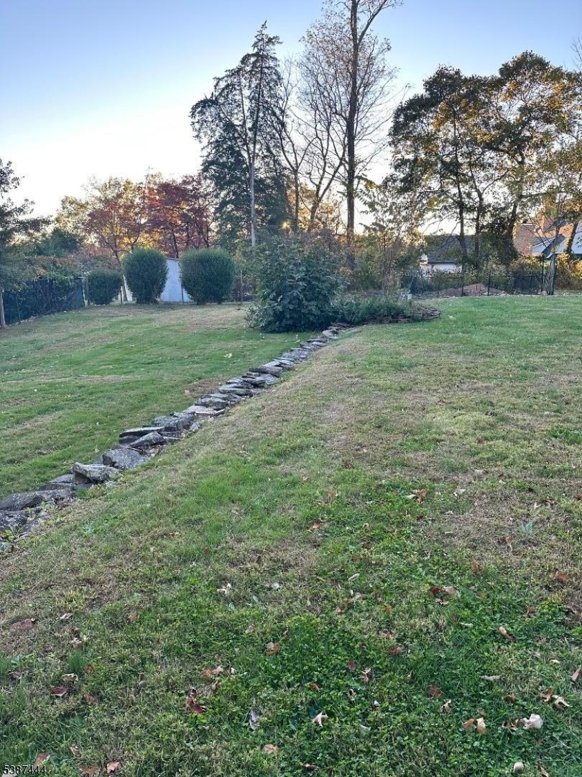 Backyard on the left