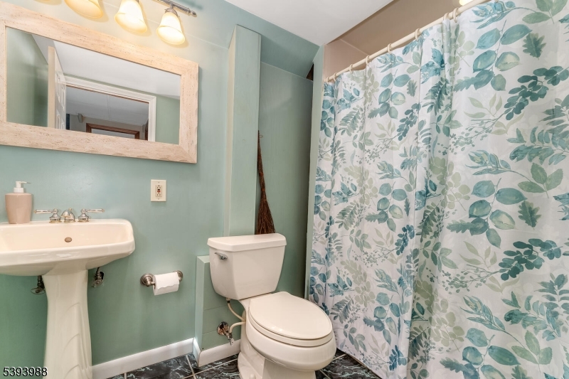 lower level bathroom