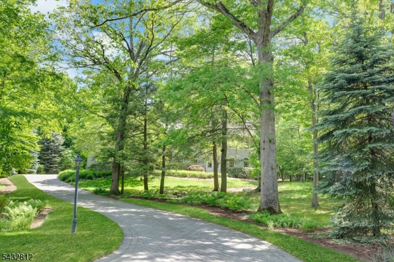 Paver Block Driveway and Walks