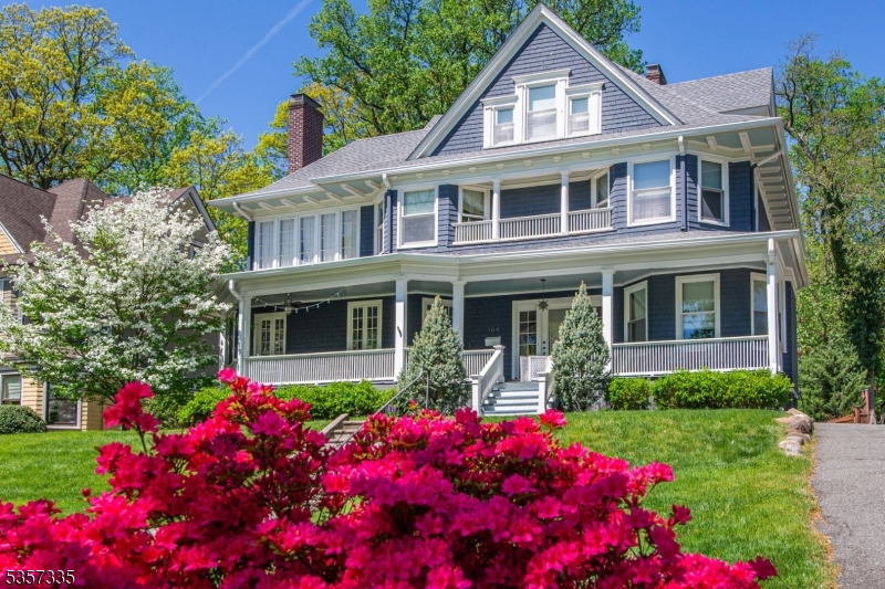 Beautiful mature flowering trees