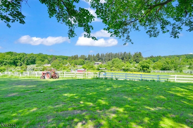 Pastoral Views