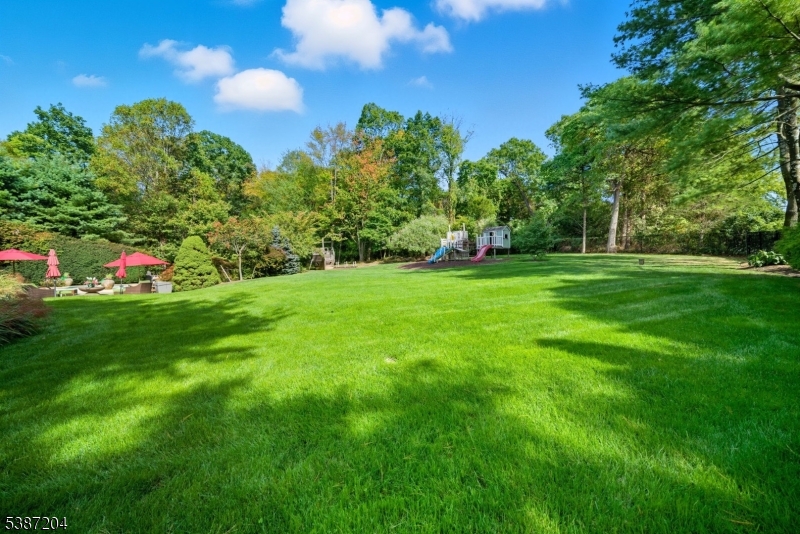 Rear garden. Lush landscaping.