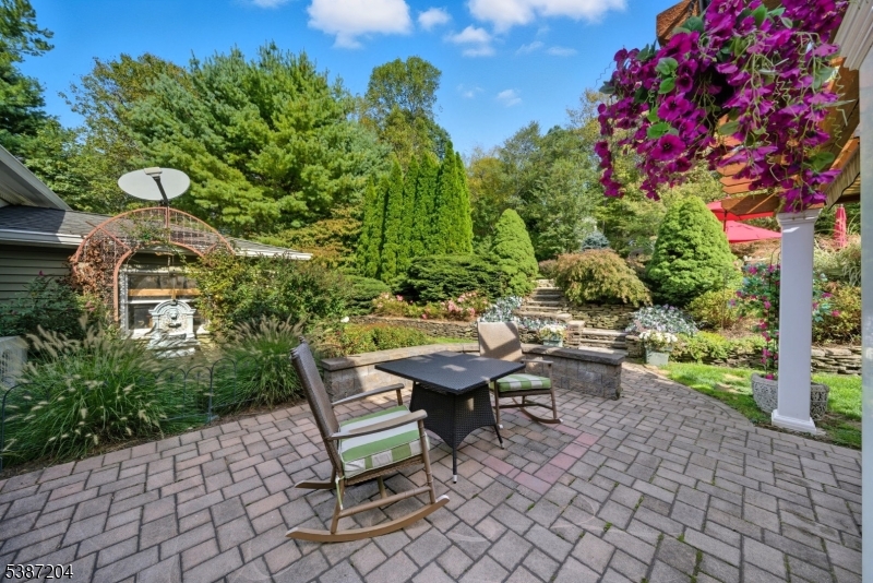 Rear patio.