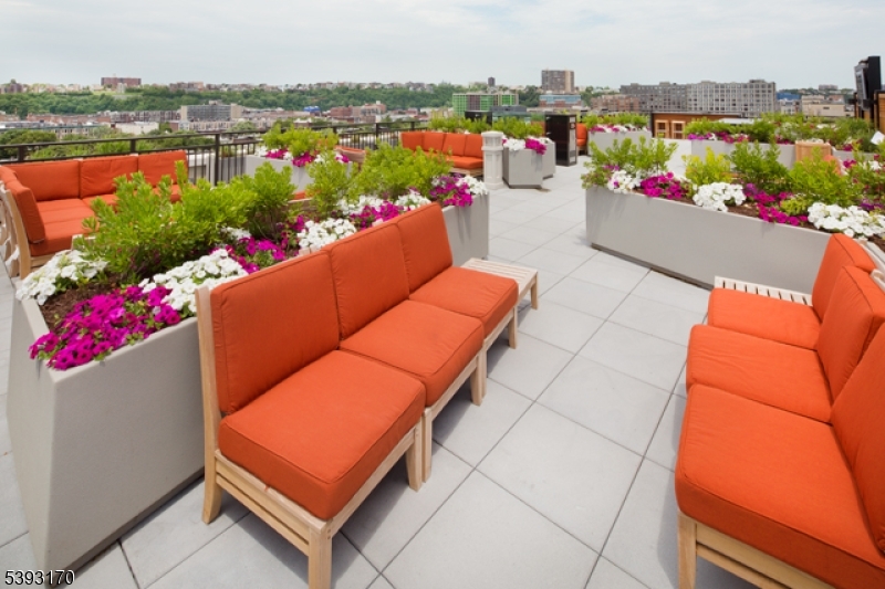 Roof Terrace