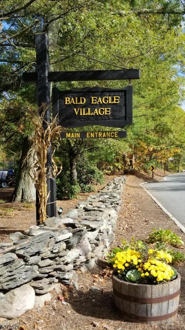 Welcome to the Village