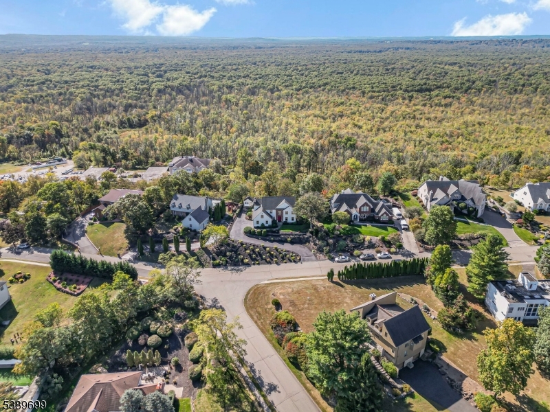 Aerial View/ Drone Shot