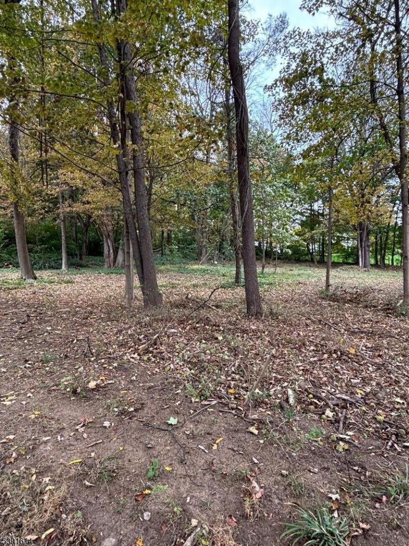 lot 56 Spring Valley