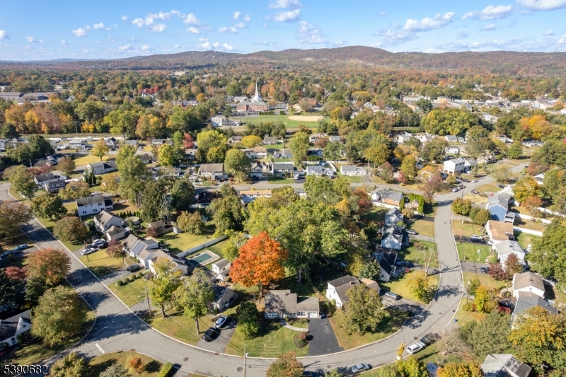 Aerial of Neighborhood