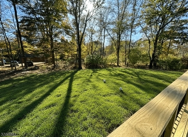 yard with grass
