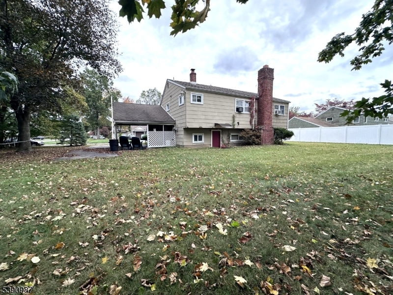 Back view
