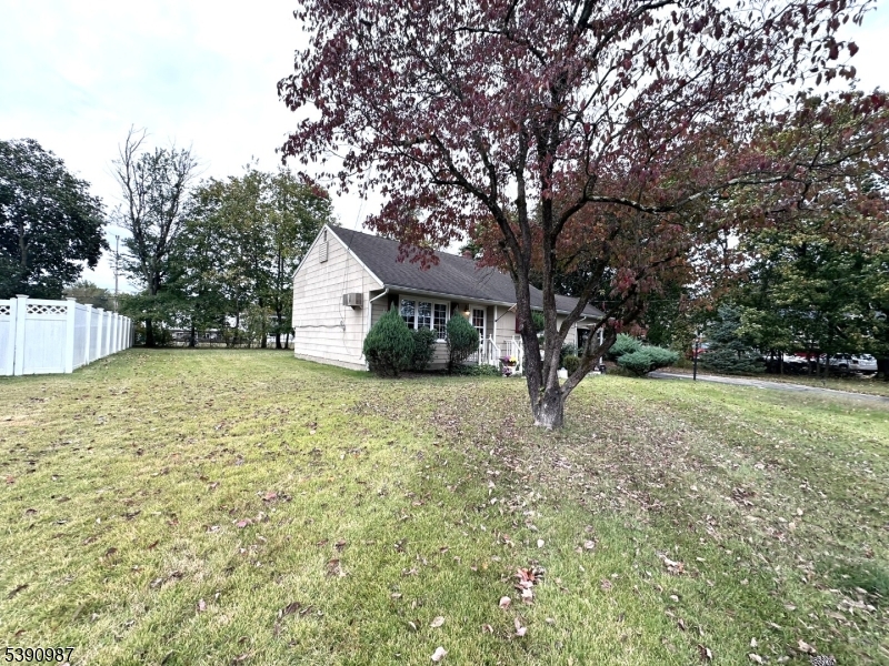 Front yard