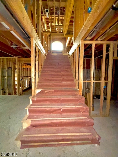 lower level