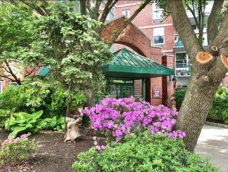 Main entrance to the building