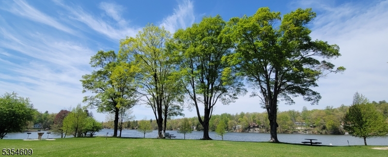 Charming lake within walking distance with optional membership available!