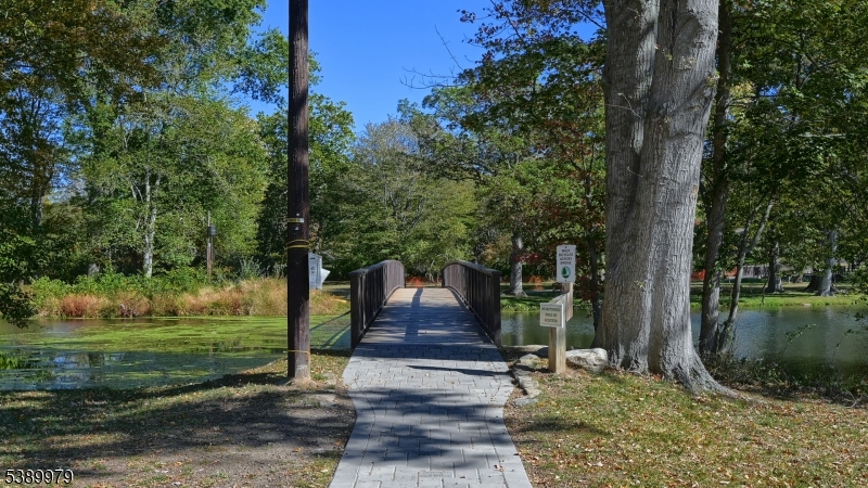 Walking Bridge