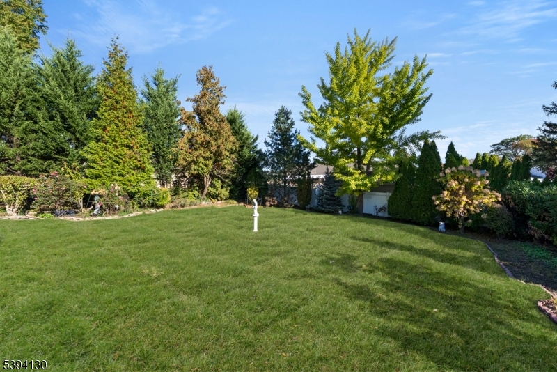 Great Yard Space