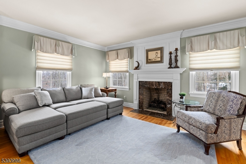 Primary Suite Sitting Room Natural Gas Fireplace and Walk-in Closet