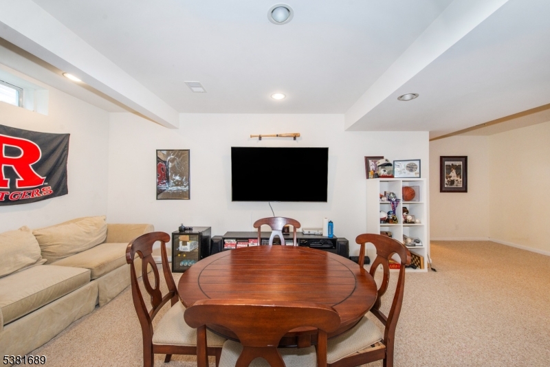 Basement Family Room