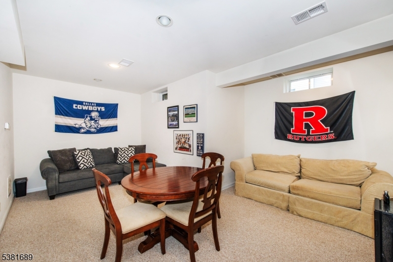 Basement Family Room